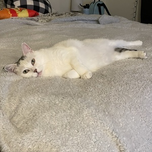 Fundraising Page: Hunter Killinen